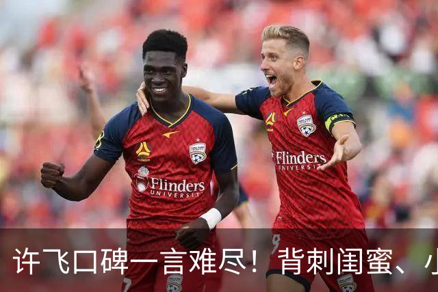 许飞口碑一言难尽！背刺闺蜜、小牌大耍、谎话连篇，过往太不经扒